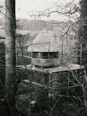 Early stage of the building showing the plywood and stainless steel mesh.  