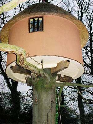 View from underneath showing the limed washed deck and the lime render walls.