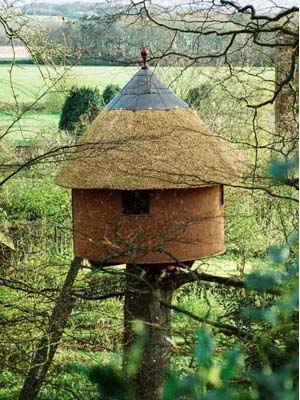 This shows the fine velt grass thatched roof with its wooden finial.