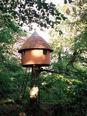 The Tree House showing the leaded windows and height from the ground. 