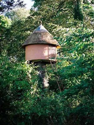 The Tree House from a distance in the garden.